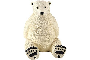 61sgObdcaCS._AC_UL320_