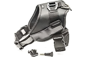Soporte Gopro Perro 81uYBCf2mpL._AC_UL320_